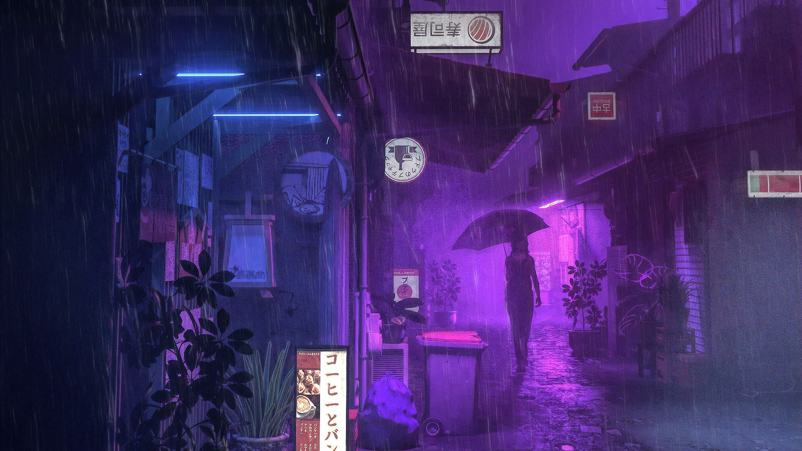 Fondo de pantalla de  2560x1440