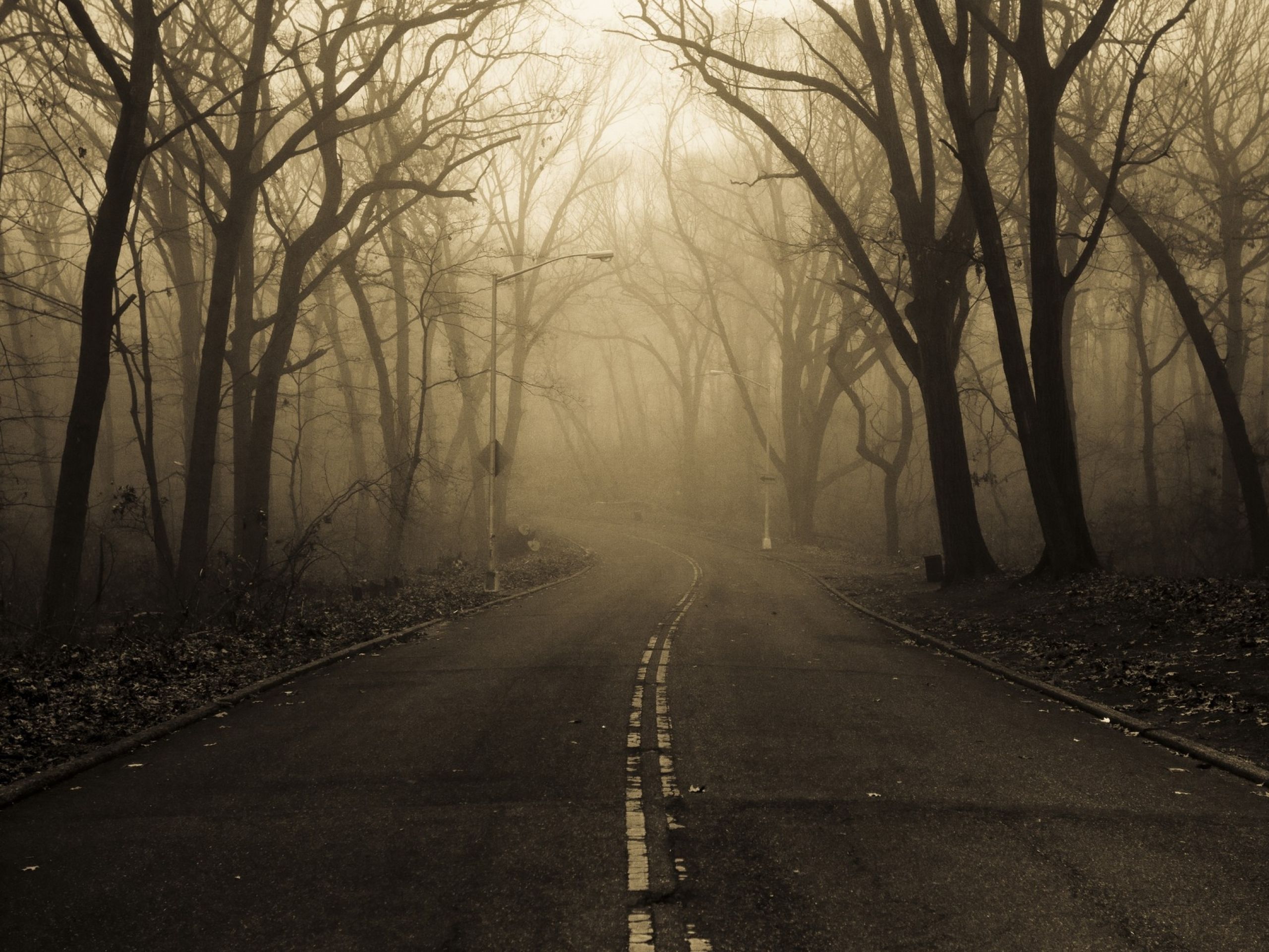 Fondo de pantalla de  2560x1920