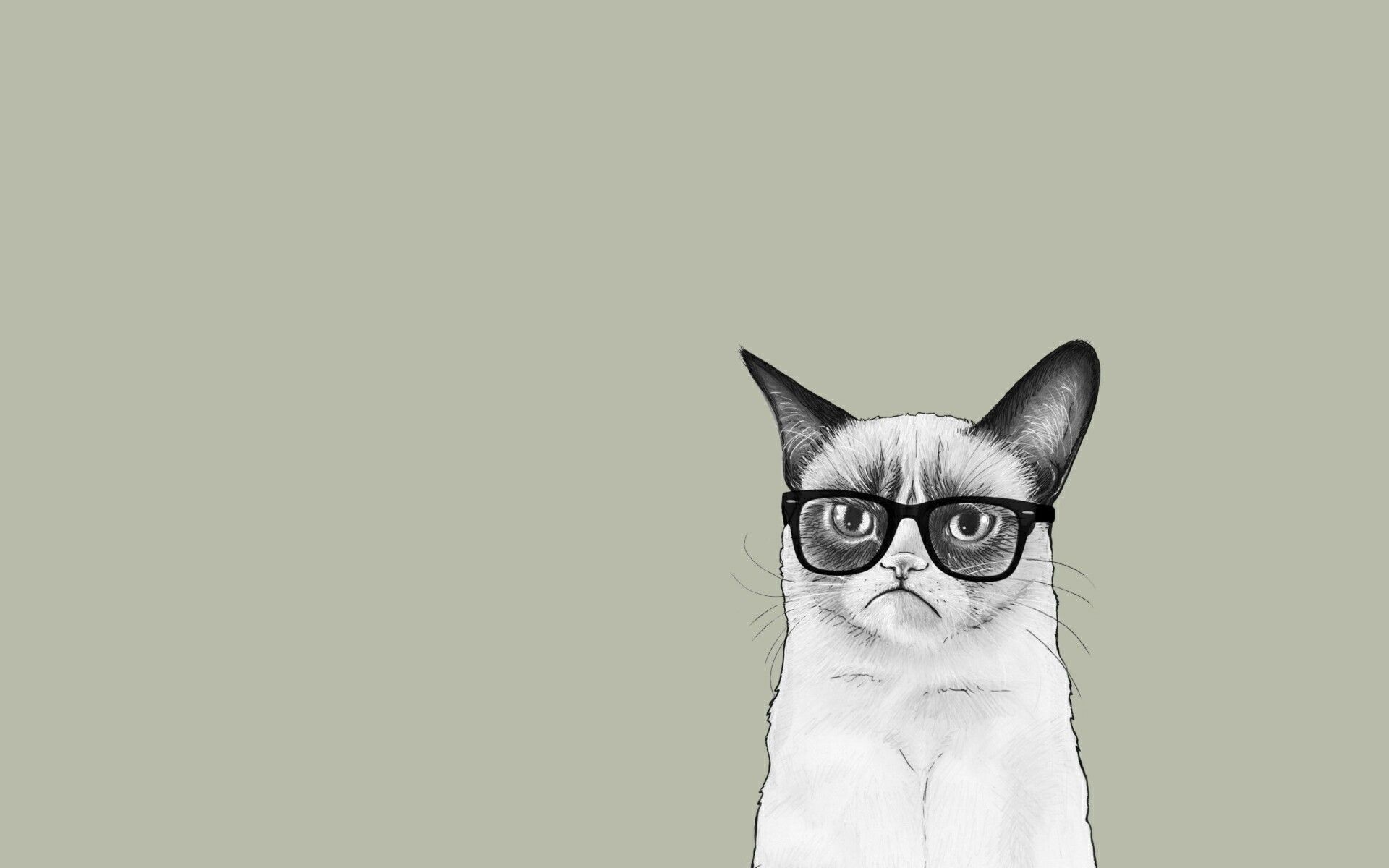 Fondo de pantalla de  1920x1200