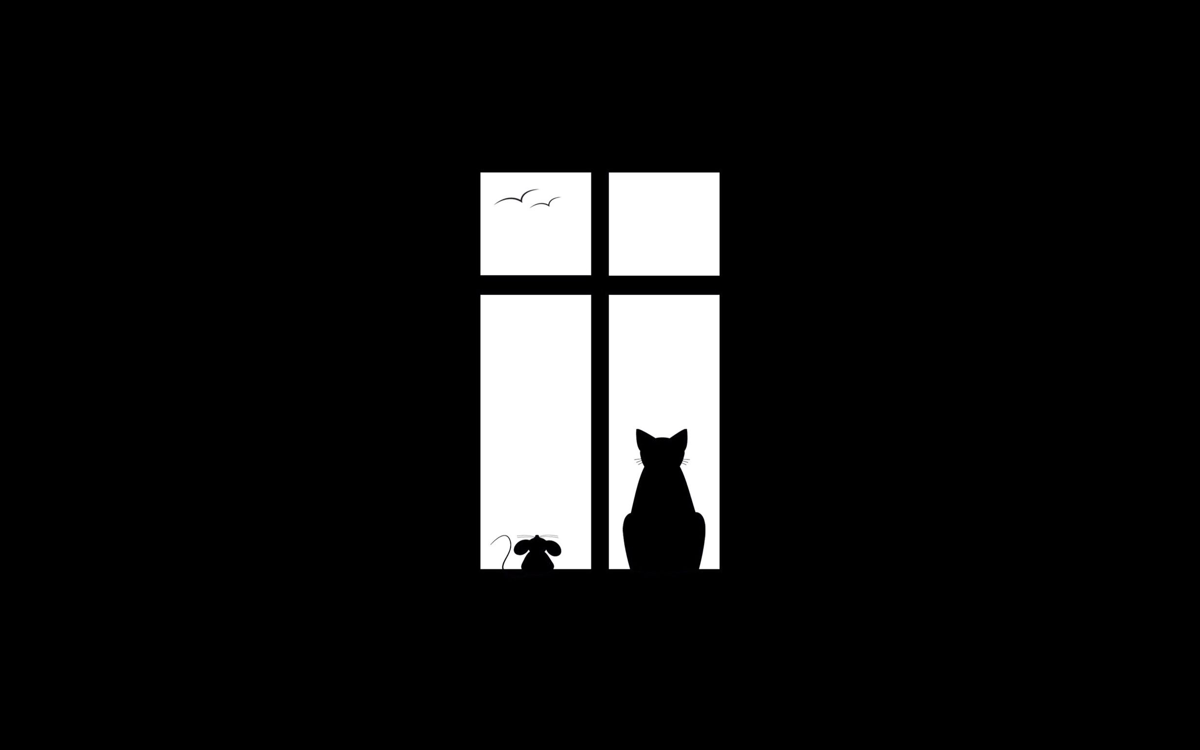 Fondo de pantalla de  2458x1536
