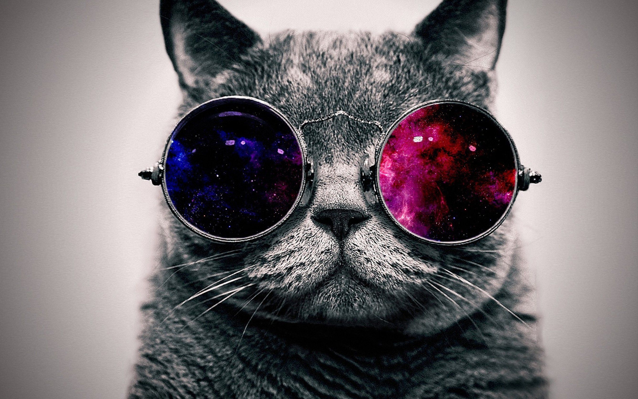 Fondo de pantalla de  2673x1671
