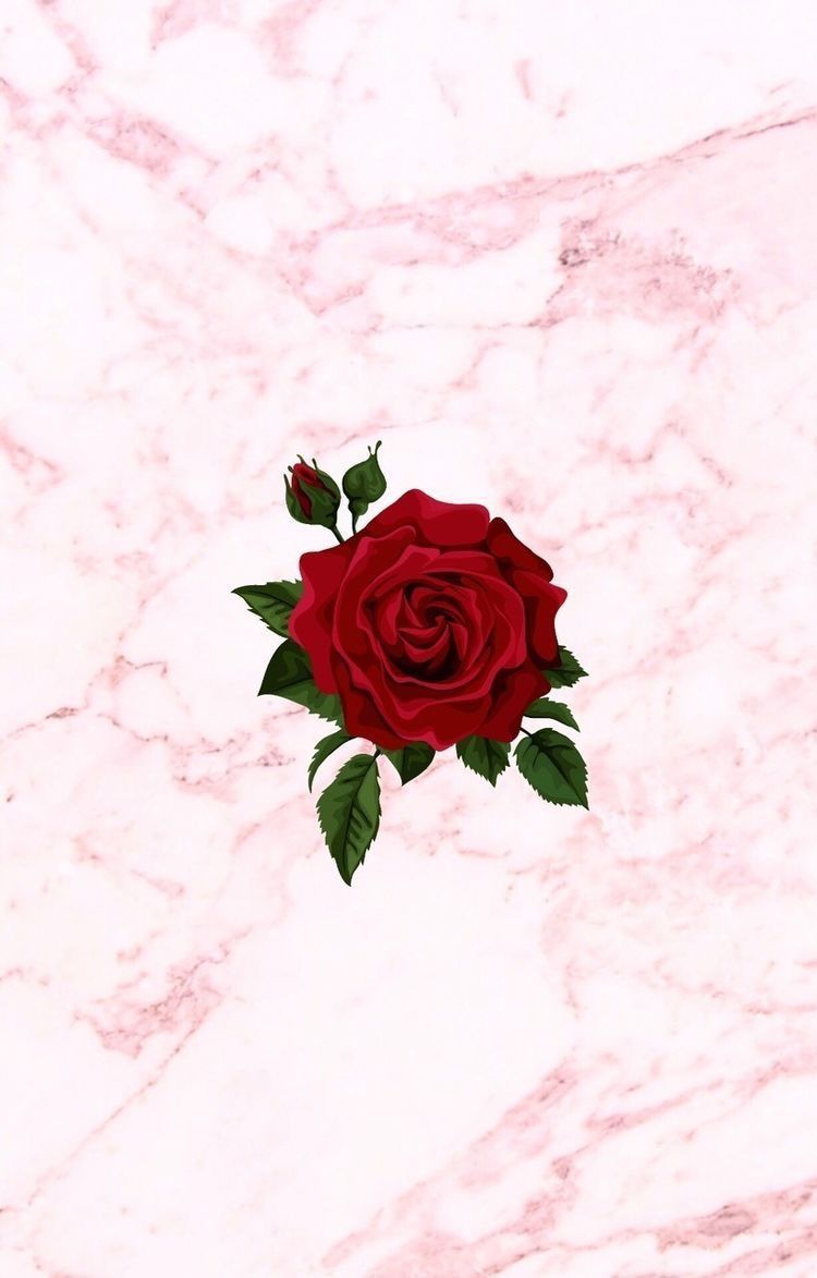 Fondo de pantalla de  750x1173
