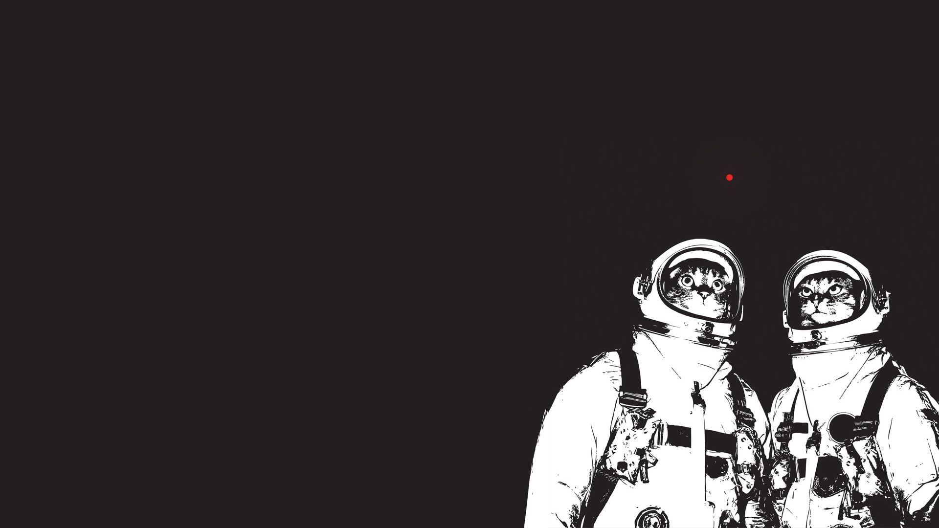 Fondo de pantalla de  1920x1080
