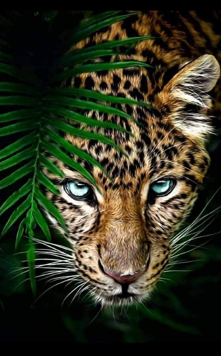 Fondo de pantalla de  720x1159