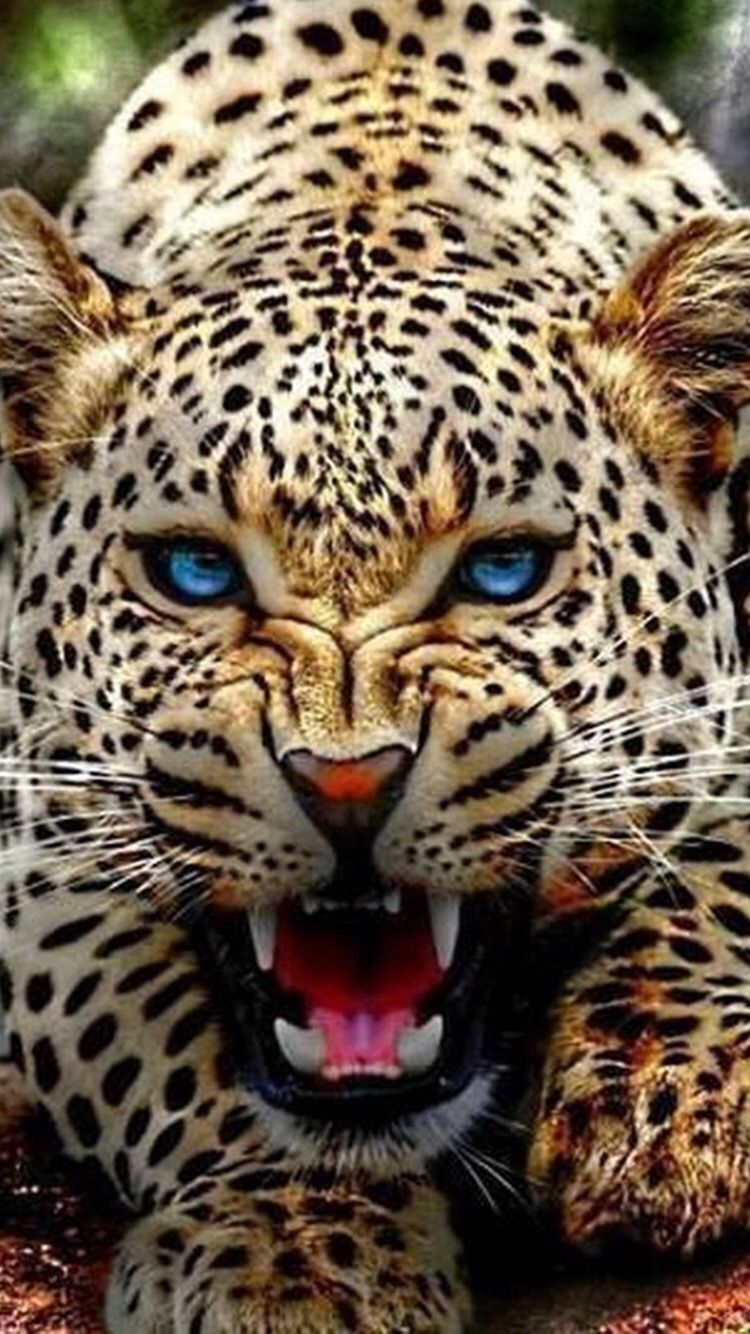 Fondo de pantalla de  750x1334