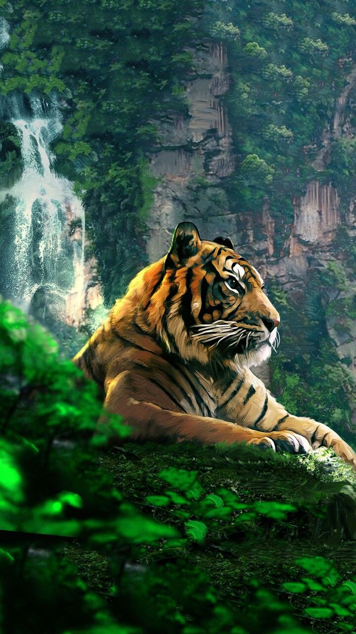 Fondo de pantalla de  720x1280