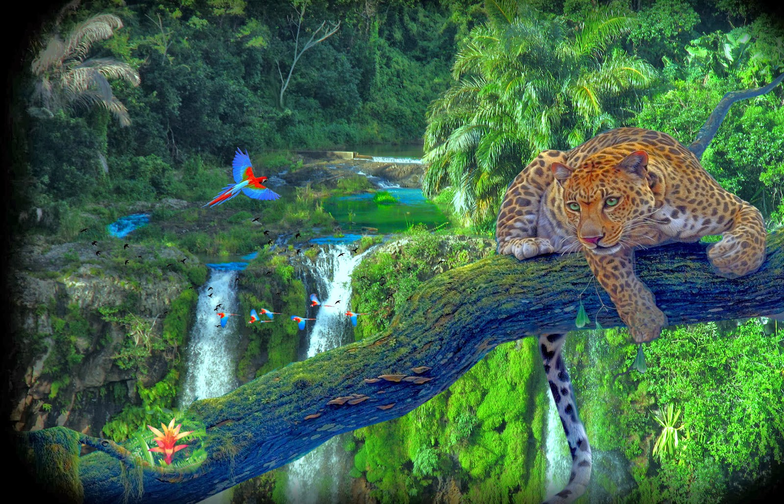 Fondo de pantalla de  1600x1029