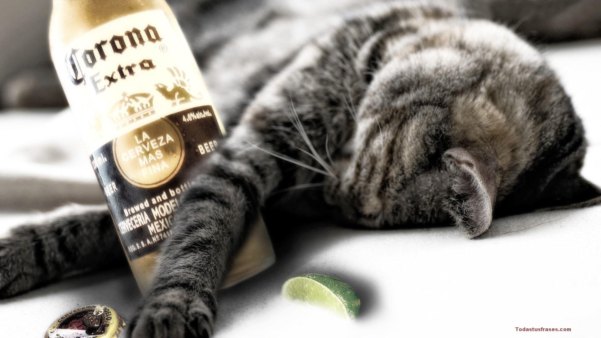 Fondo de pantalla de  1920x1080