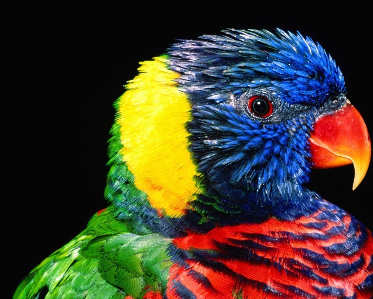 Fondo de pantalla de  1280x1024