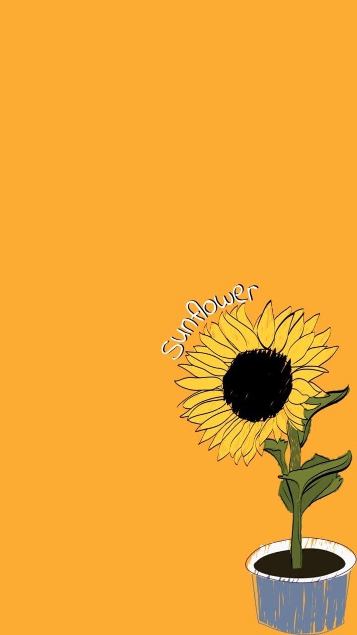 Imagen sobre cute en Wallpapers ✨ por Caitlin Conradie