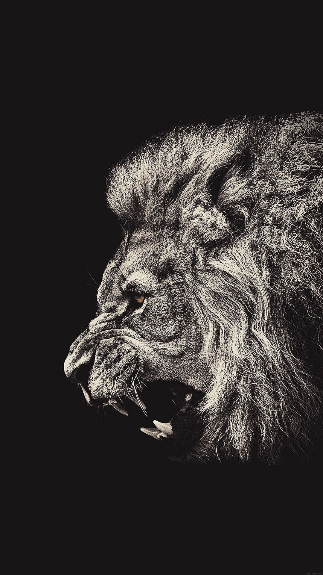 Fondo de pantalla de  1080x1920