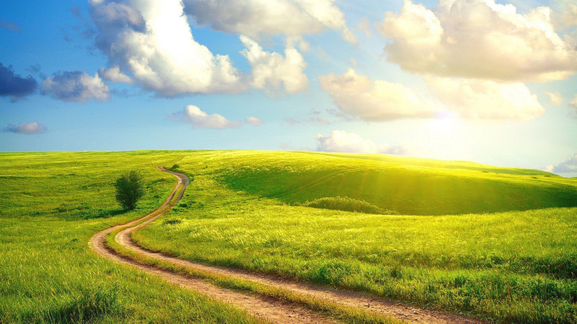 Fondo de pantalla de  1920x1080