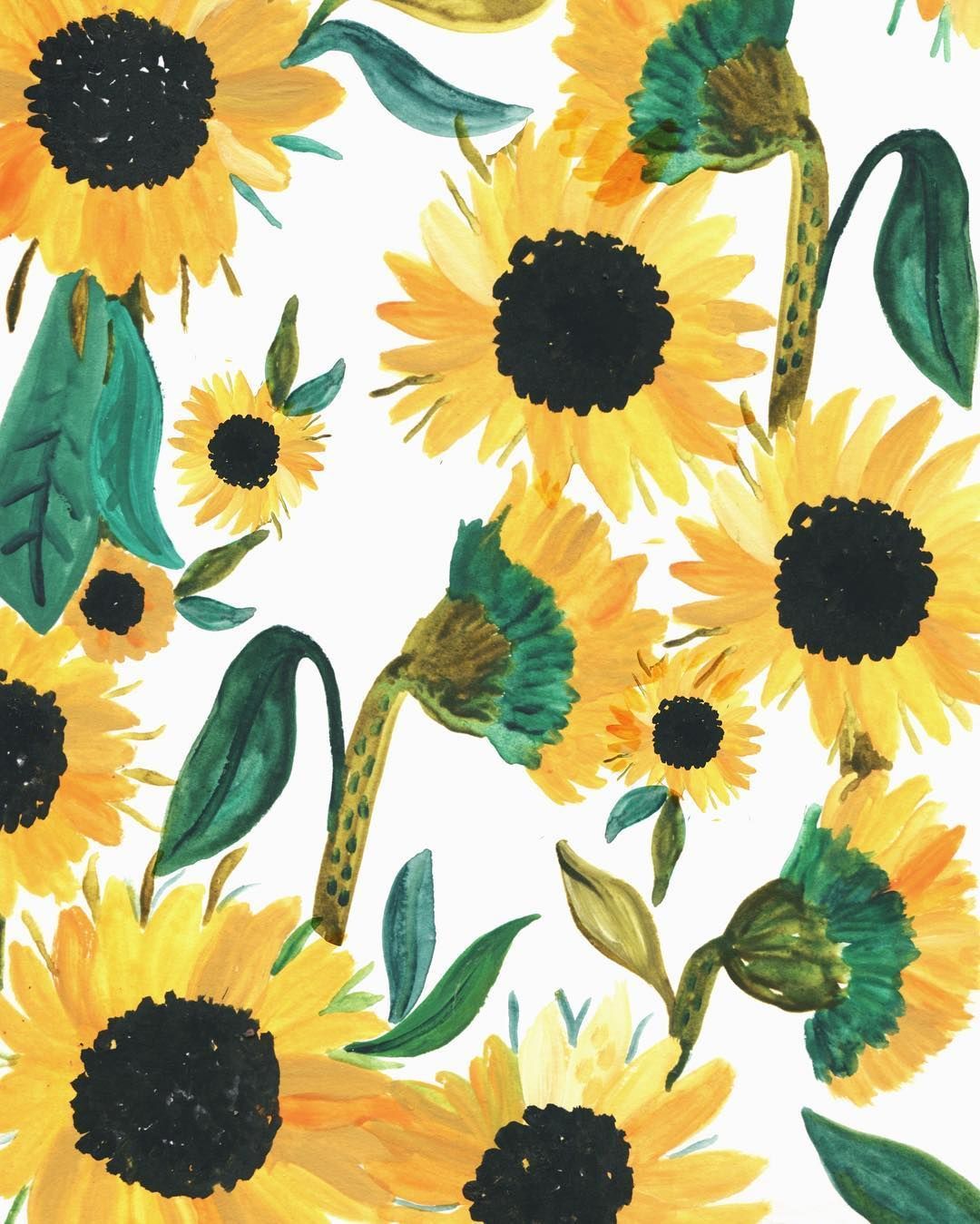 Girasol Clipart Wallpaper