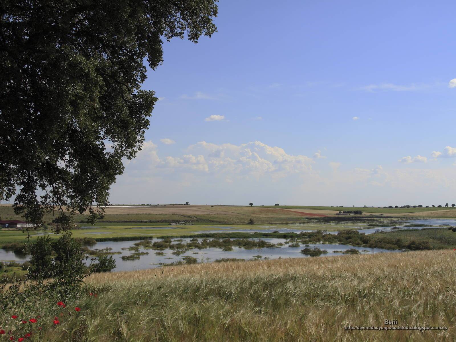 Fondo de pantalla de  1600x1200