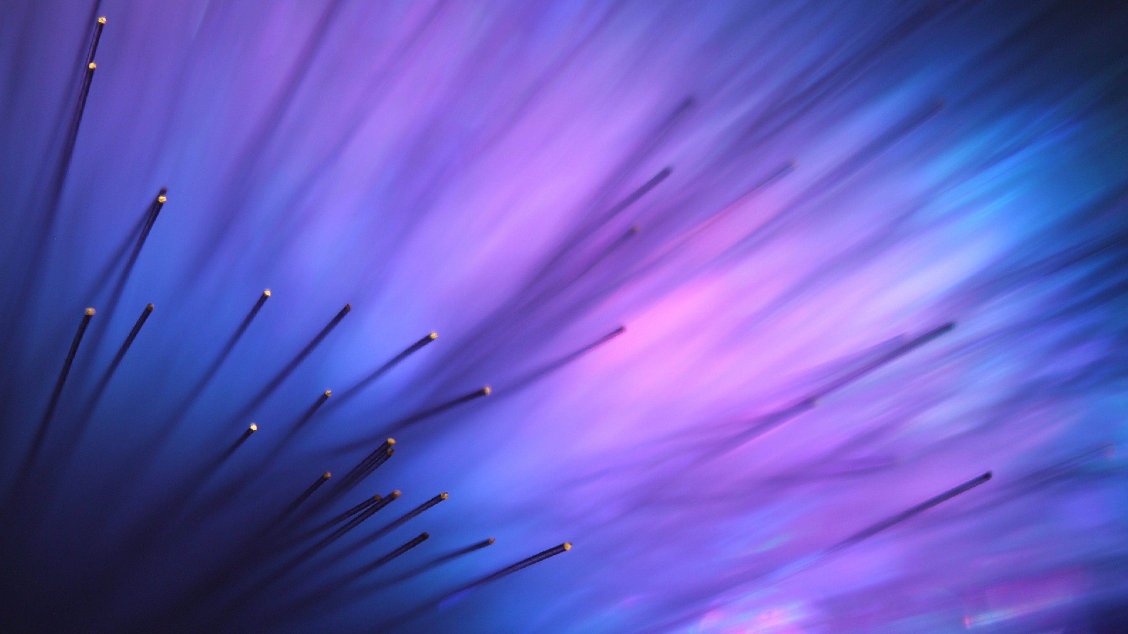 4K Violet Wallpapers - Los mejores fondos 4K Violet gratis - WallpaperAccess
