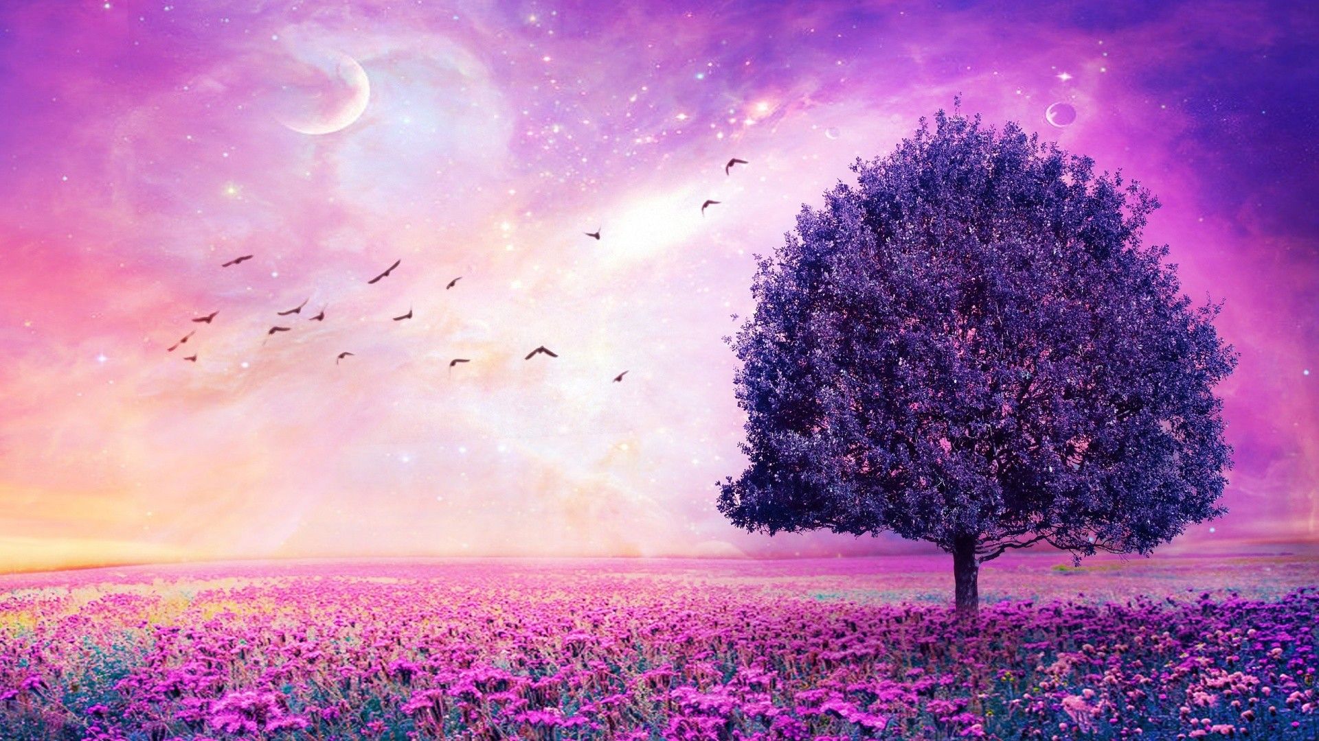 Purple Wallpaper Desktop (más de 77 imágenes)