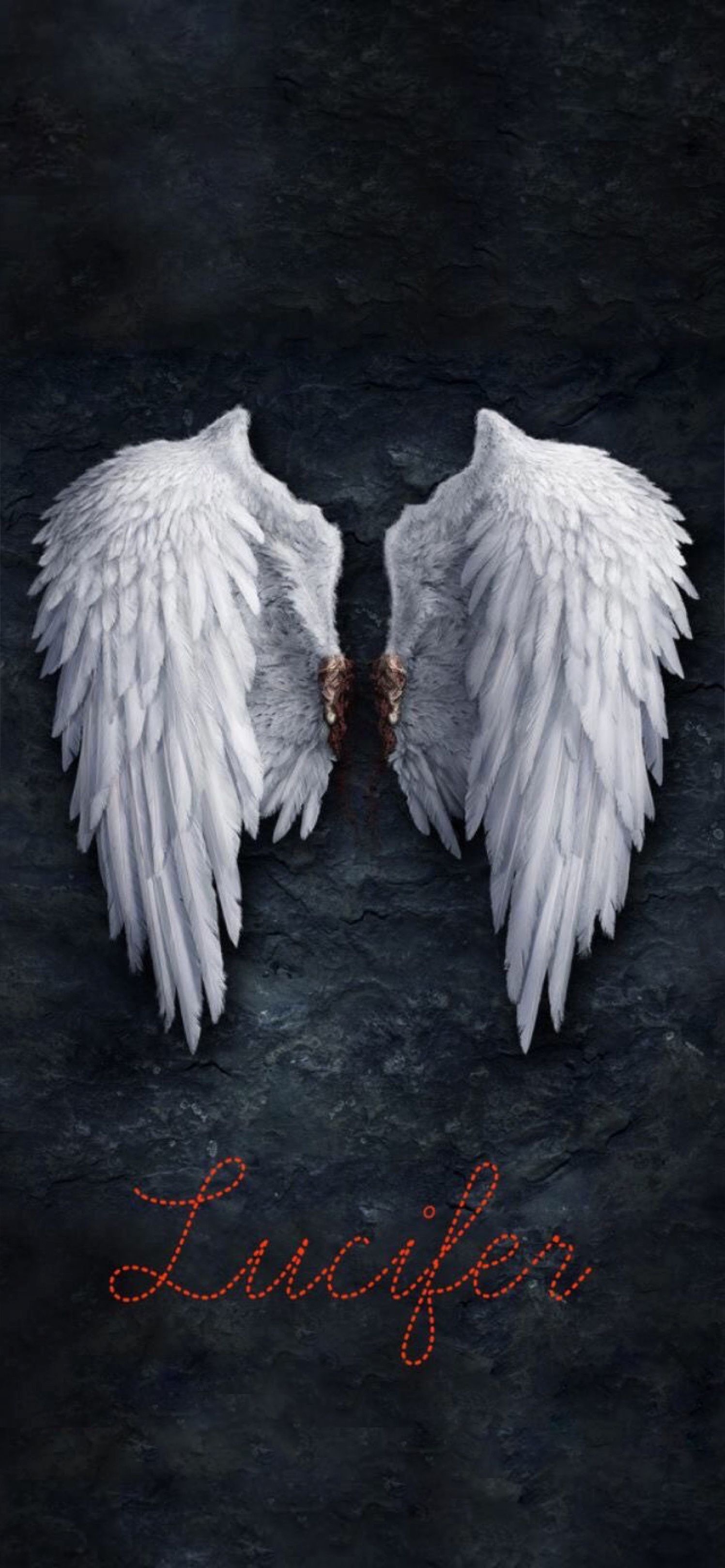 Fondo de pantalla de  1497x3237