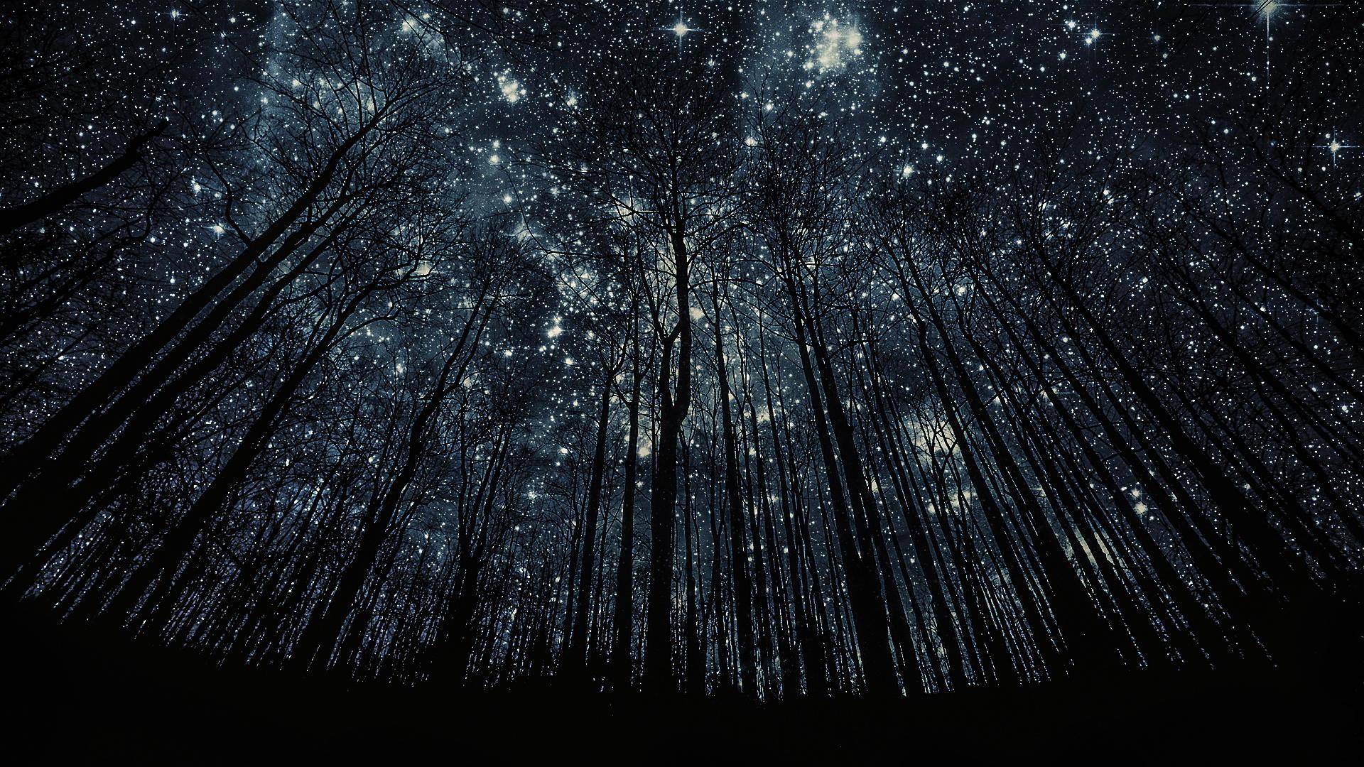 Mobile Stars Pictures »Fondos de alta definición y fotos