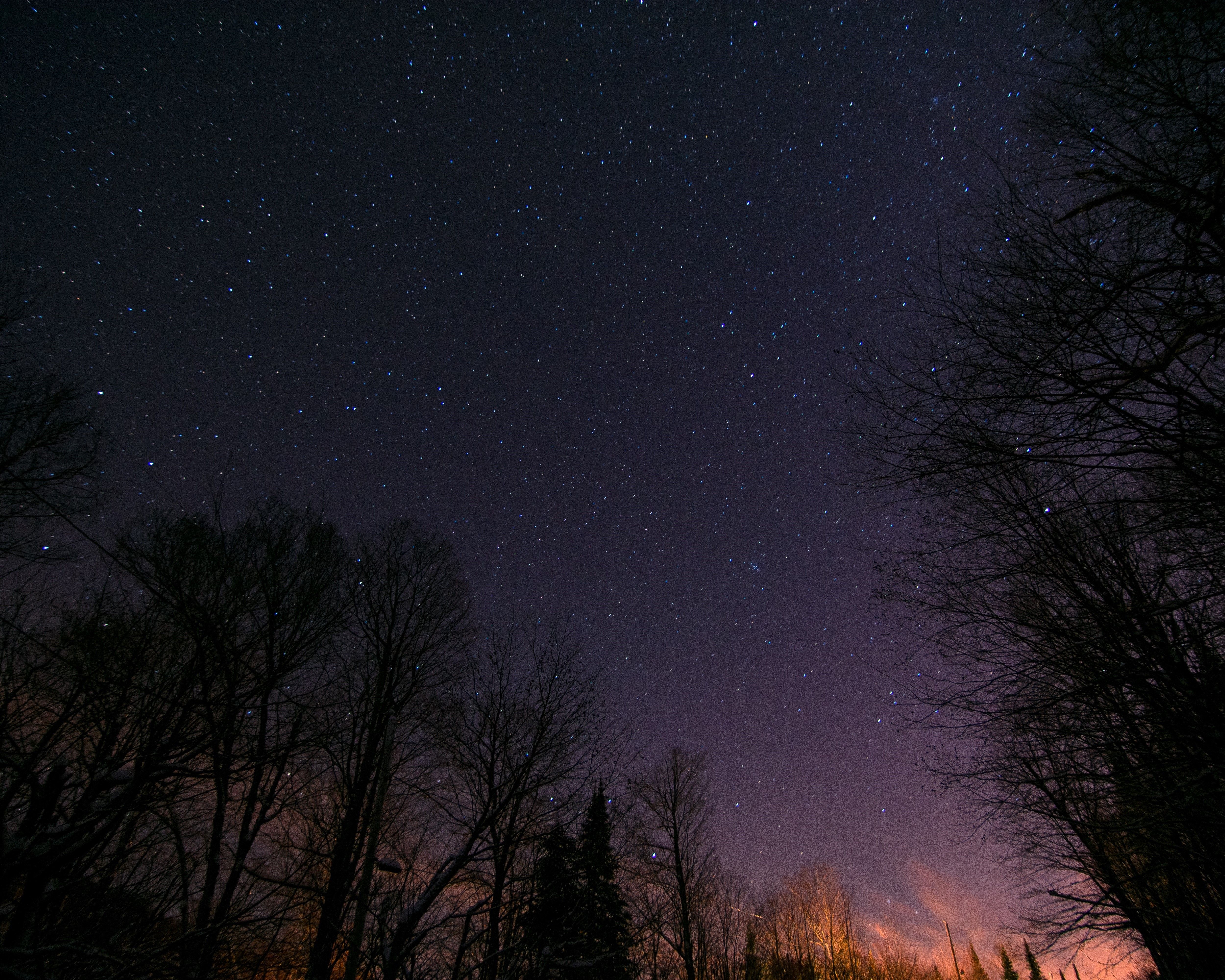 3377233 Cielo estrellado, Árboles, Noche, Estrellas fondo de pantalla y fondo