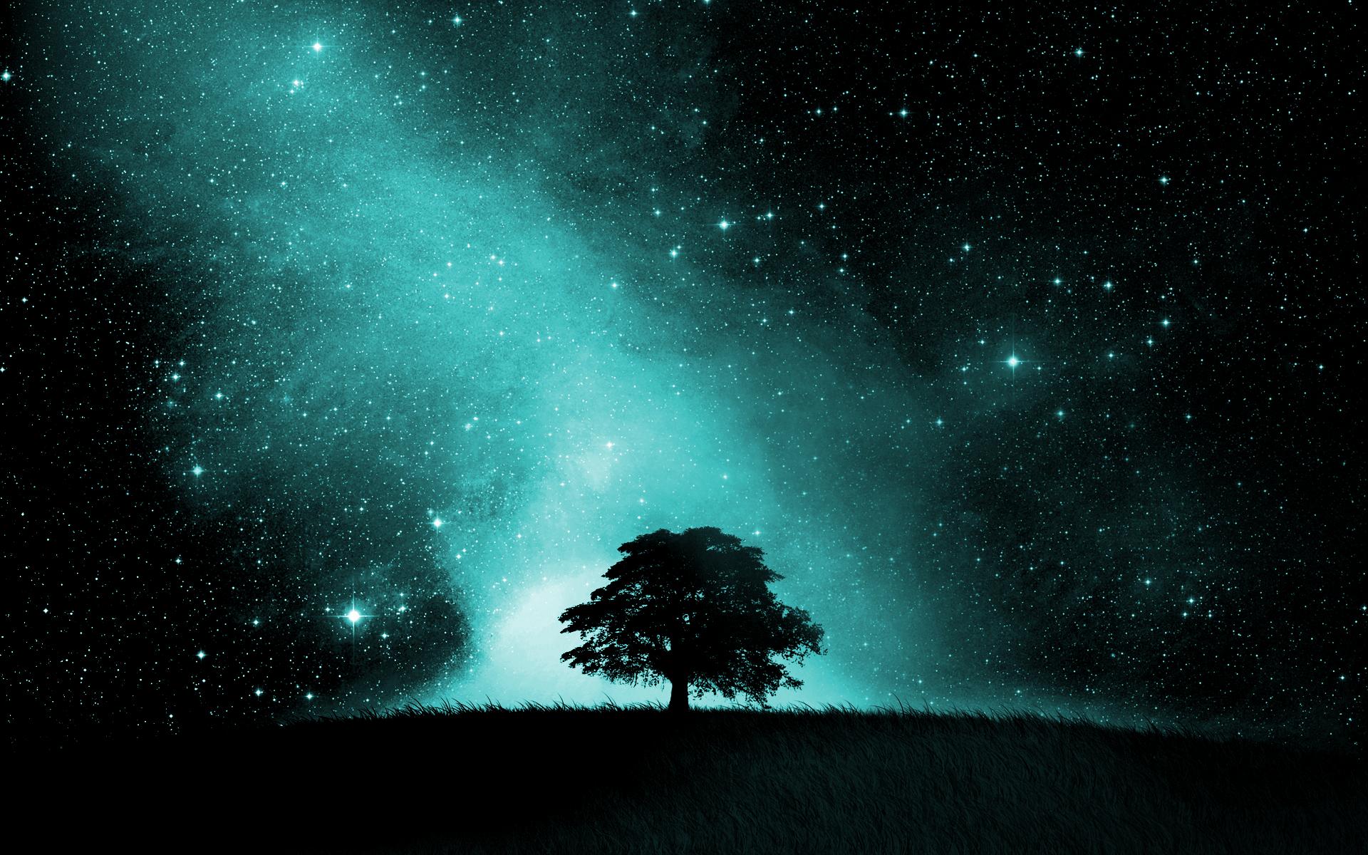 16950 fondo de pantalla de cielo lleno de estrellas