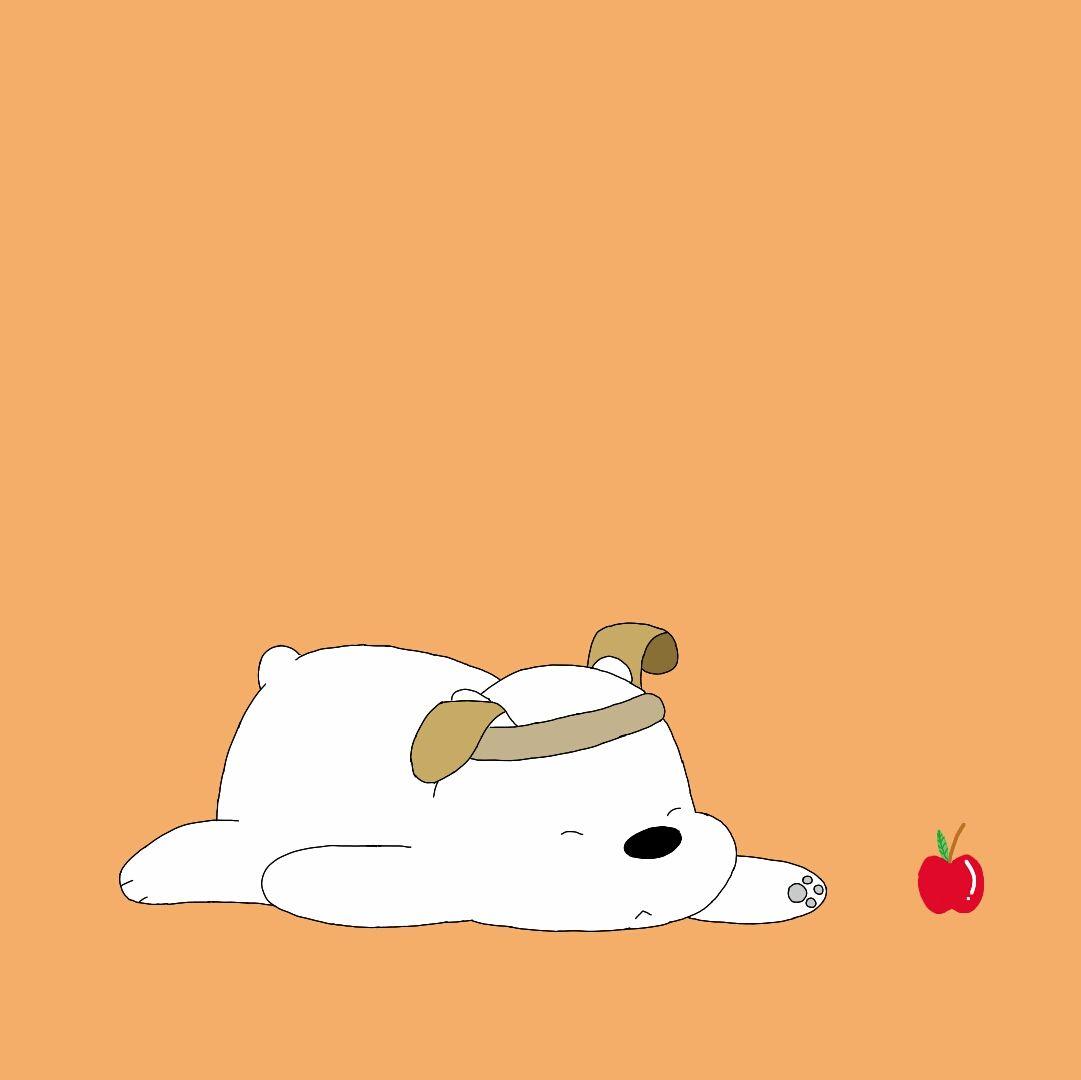 Fondo de pantalla de  1081x1080