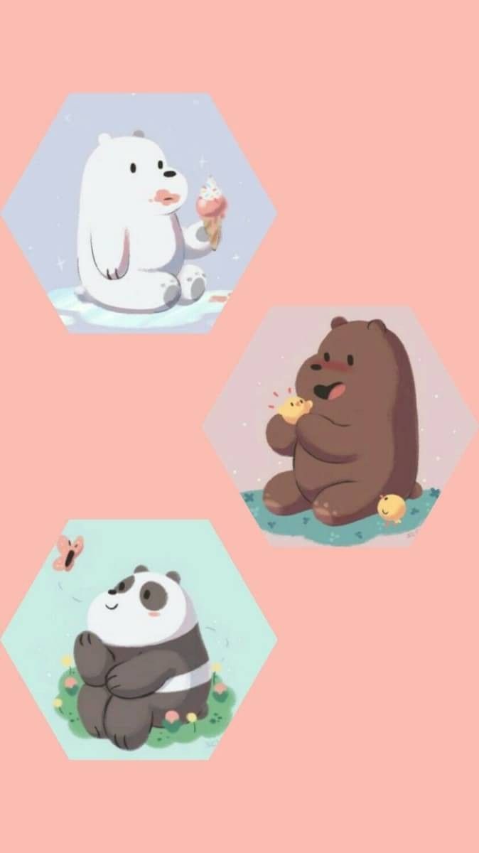 Fondo de pantalla de  674x1200