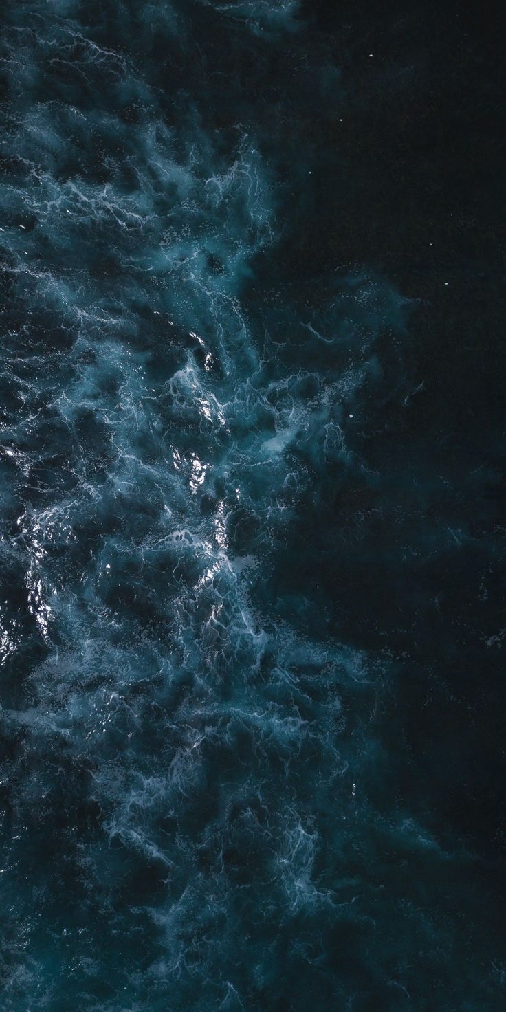 Fondo de pantalla del  736x1472