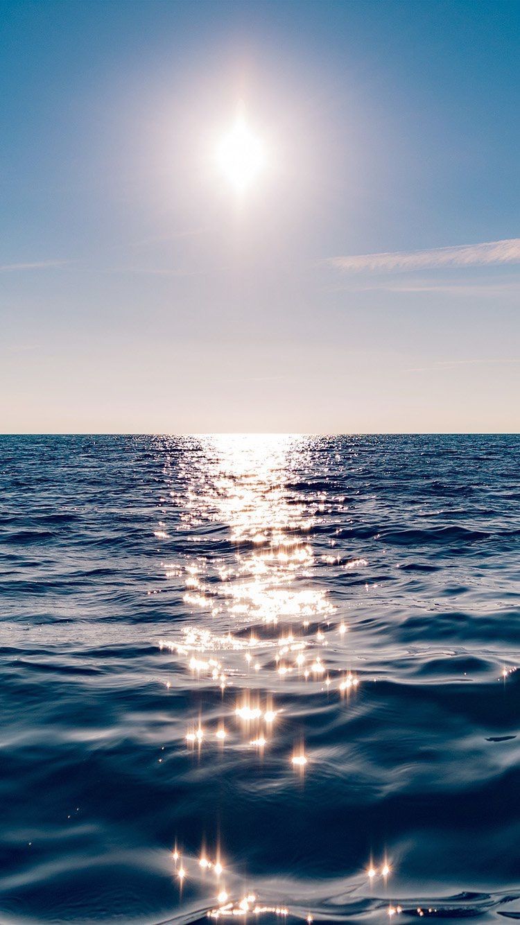 Fondo de pantalla del  750x1334