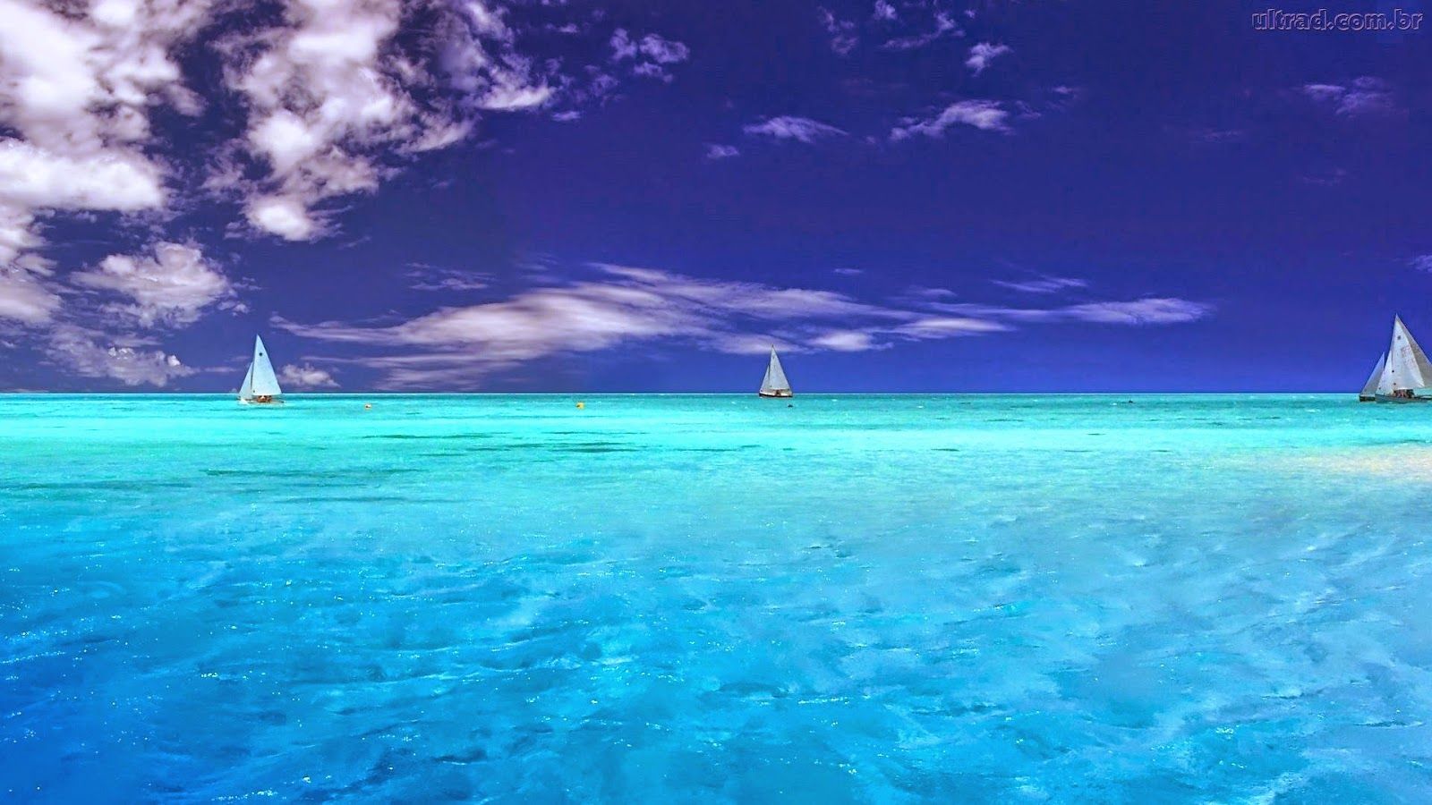 Fondo de pantalla del  1600x900