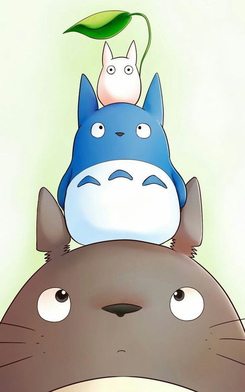 Fondo de pantalla de  800x1280