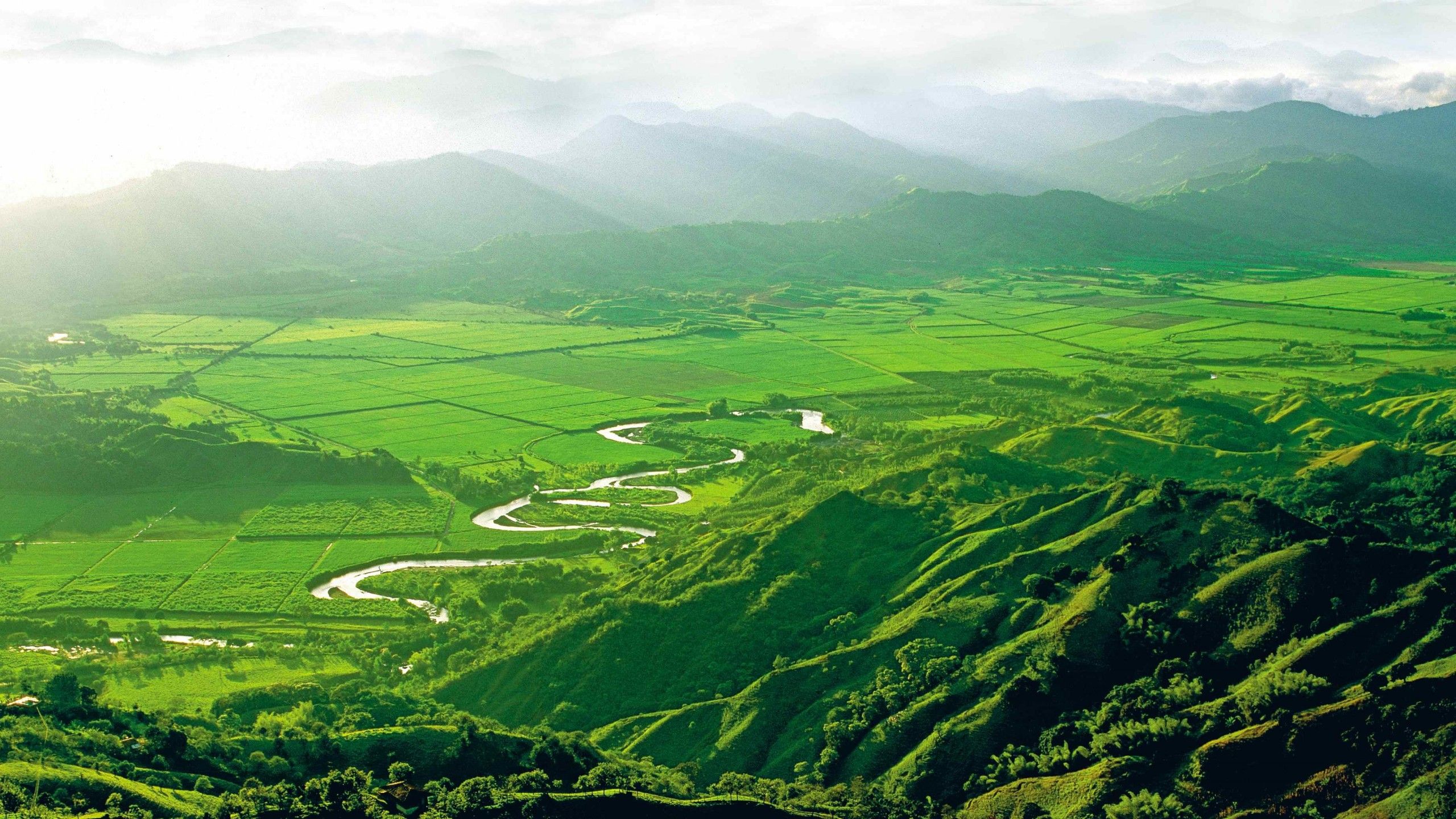 Fondo de pantalla de  2560x1440