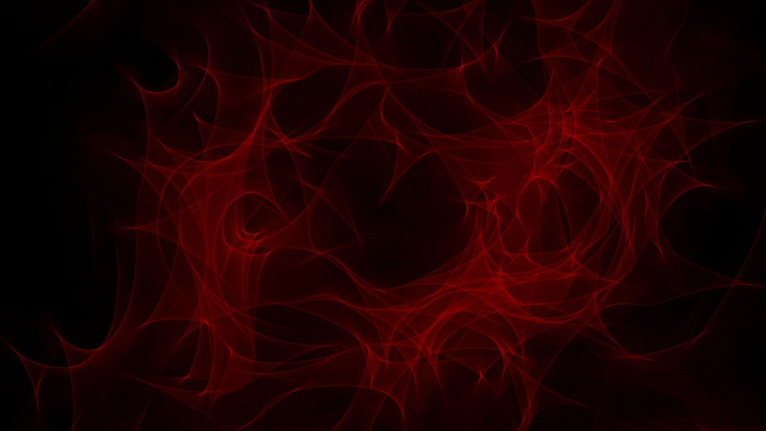 Fondo de pantalla de  2560x1440