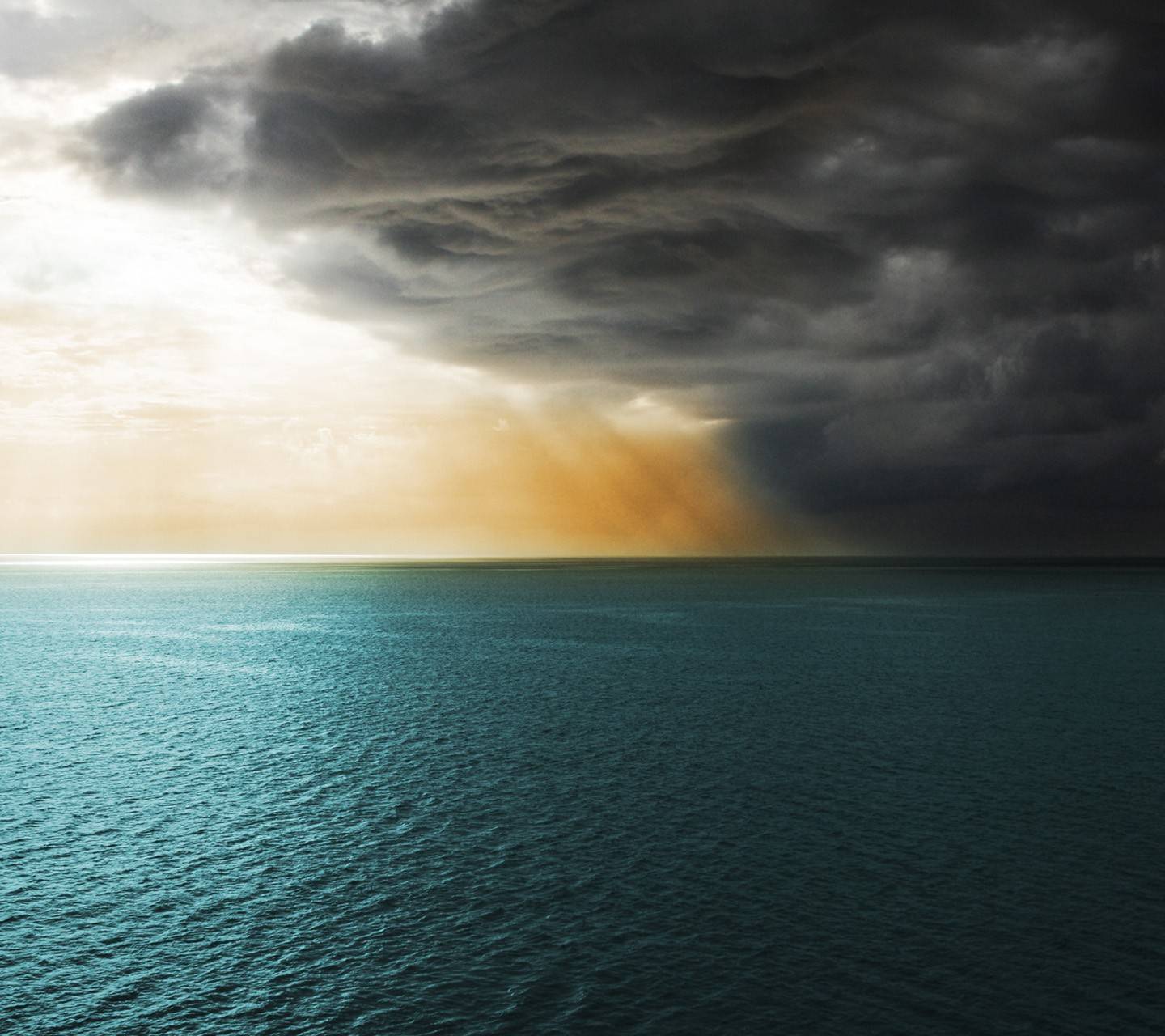 Fondo de pantalla de  1440x1280