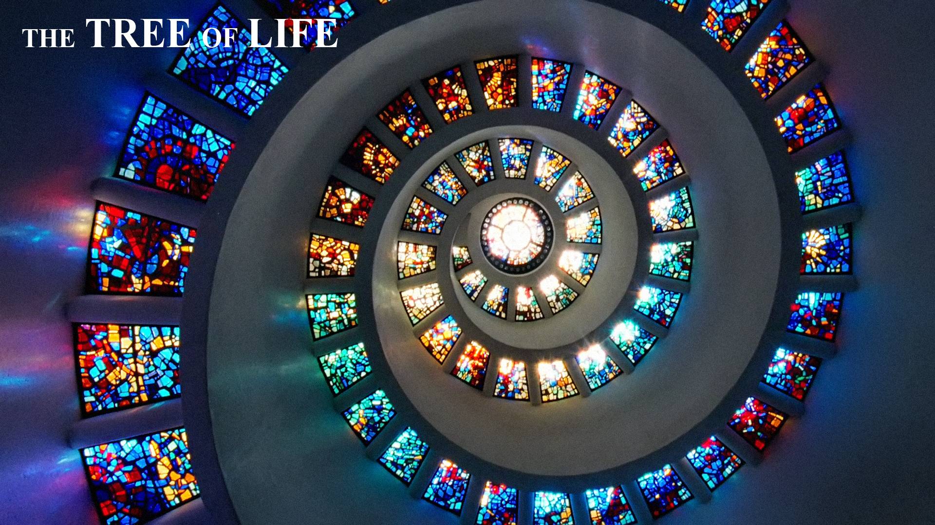 Fondo de pantalla de  1920x1080