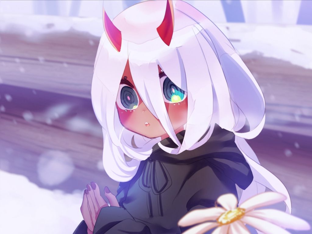 Fondo de pantalla de  1024x768