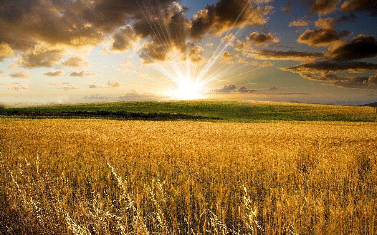 Fondo de pantalla de  1280x800