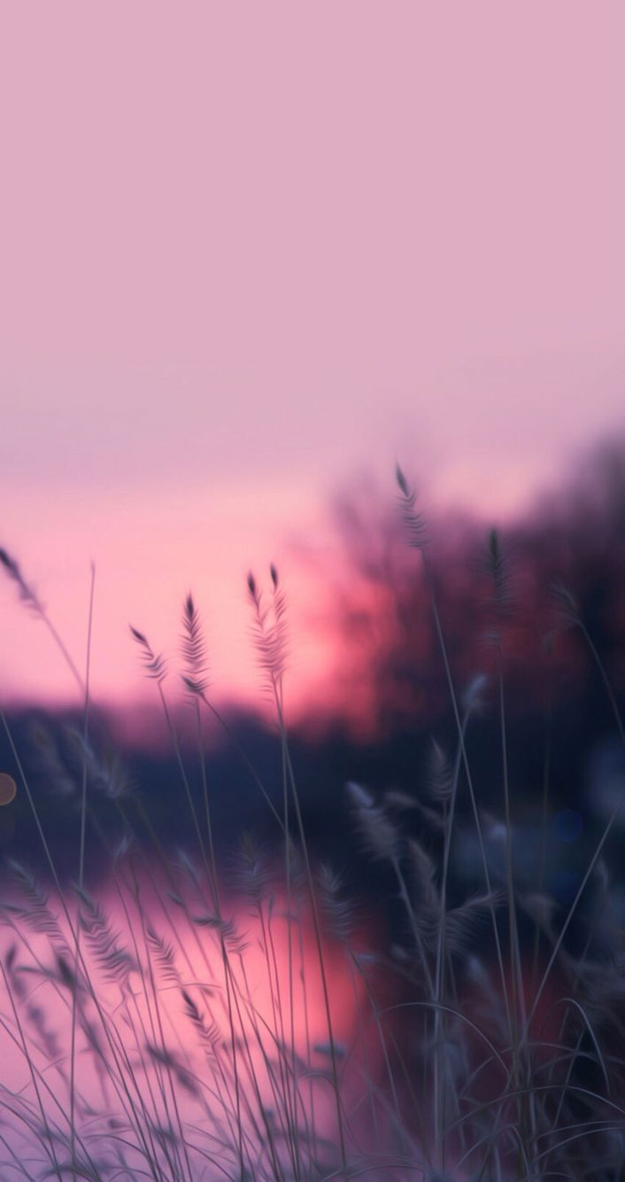 Fondo de pantalla de  706x1334