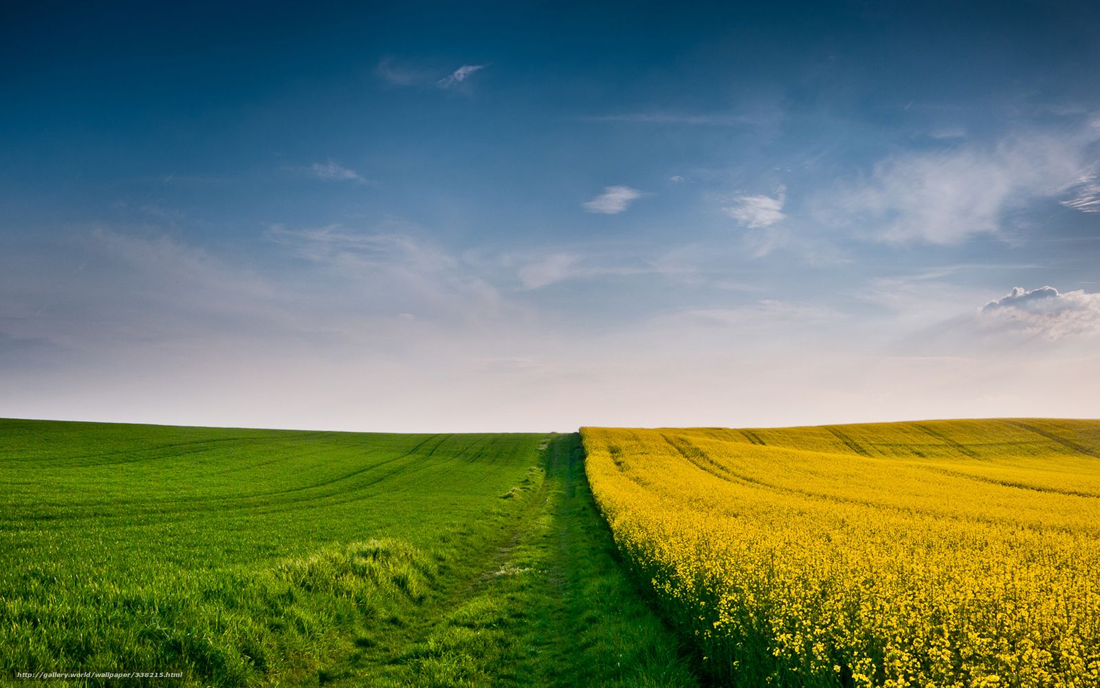 Fondo de pantalla de  1600x1000