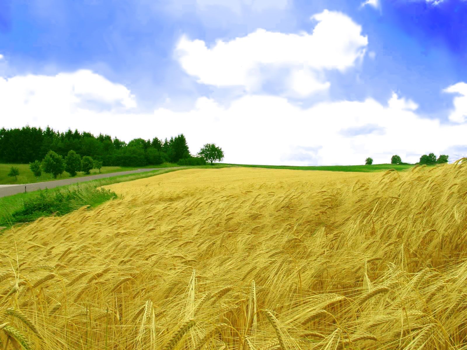 Fondo de pantalla de  1600x1200