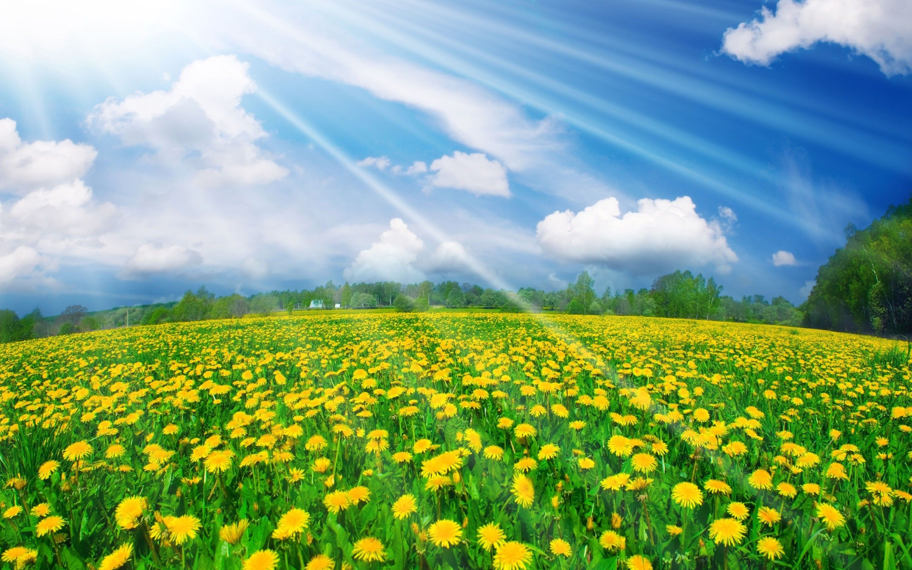 Fondo de pantalla de  3200x2000
