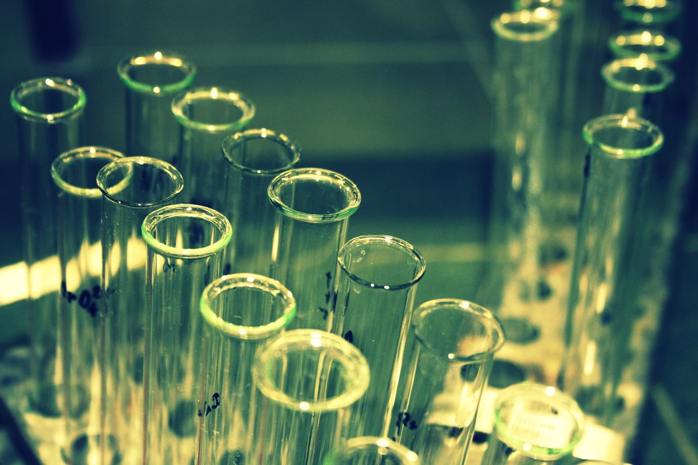 Fondo de pantalla de  1440x960