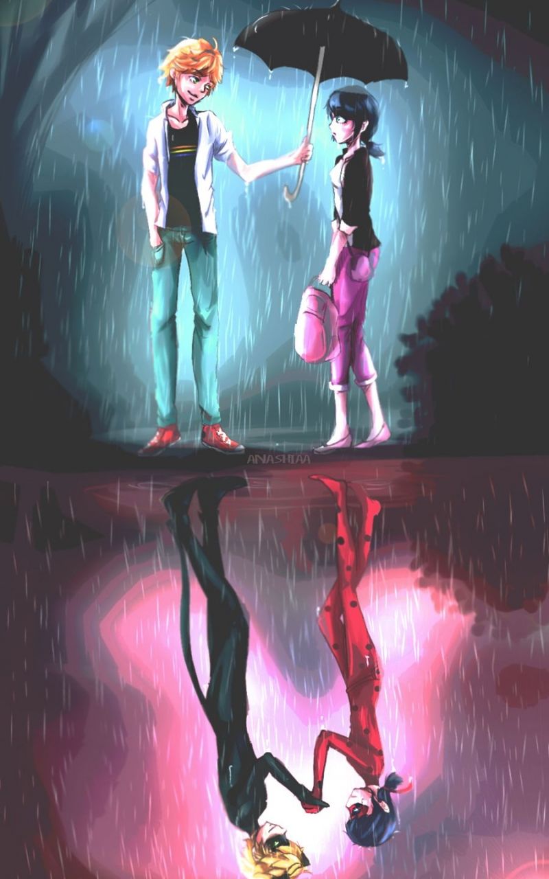 Fondo de pantalla de  800x1280