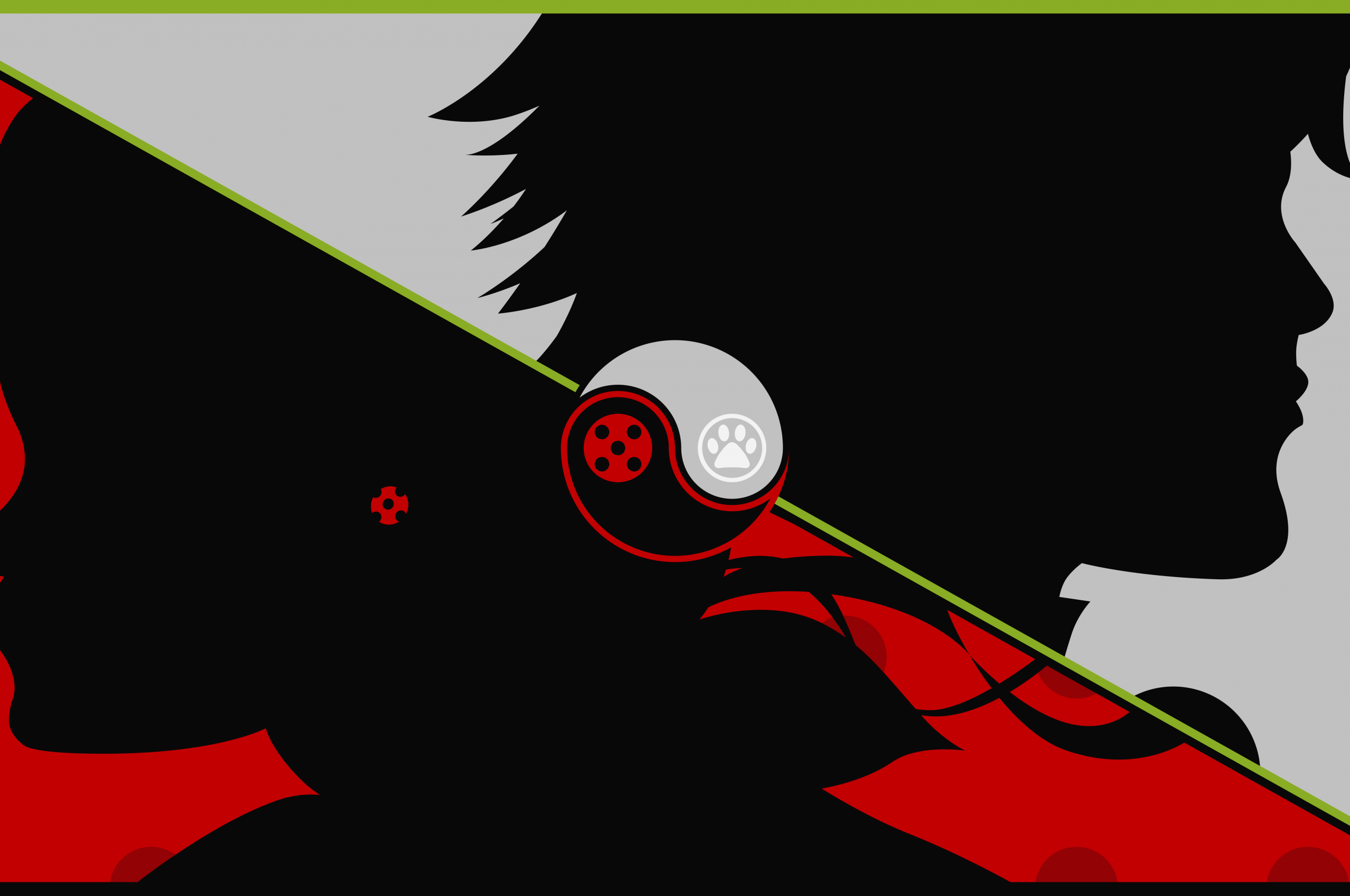 Fondo de pantalla de  2560x1700