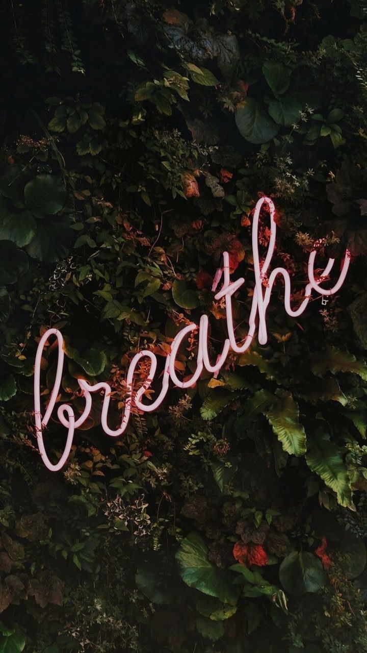 Fondo de pantalla de  720x1280