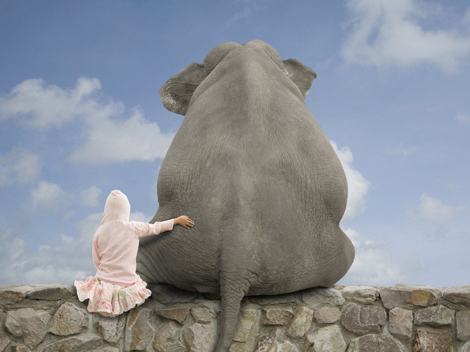 Fondo de pantalla de  1600x1200