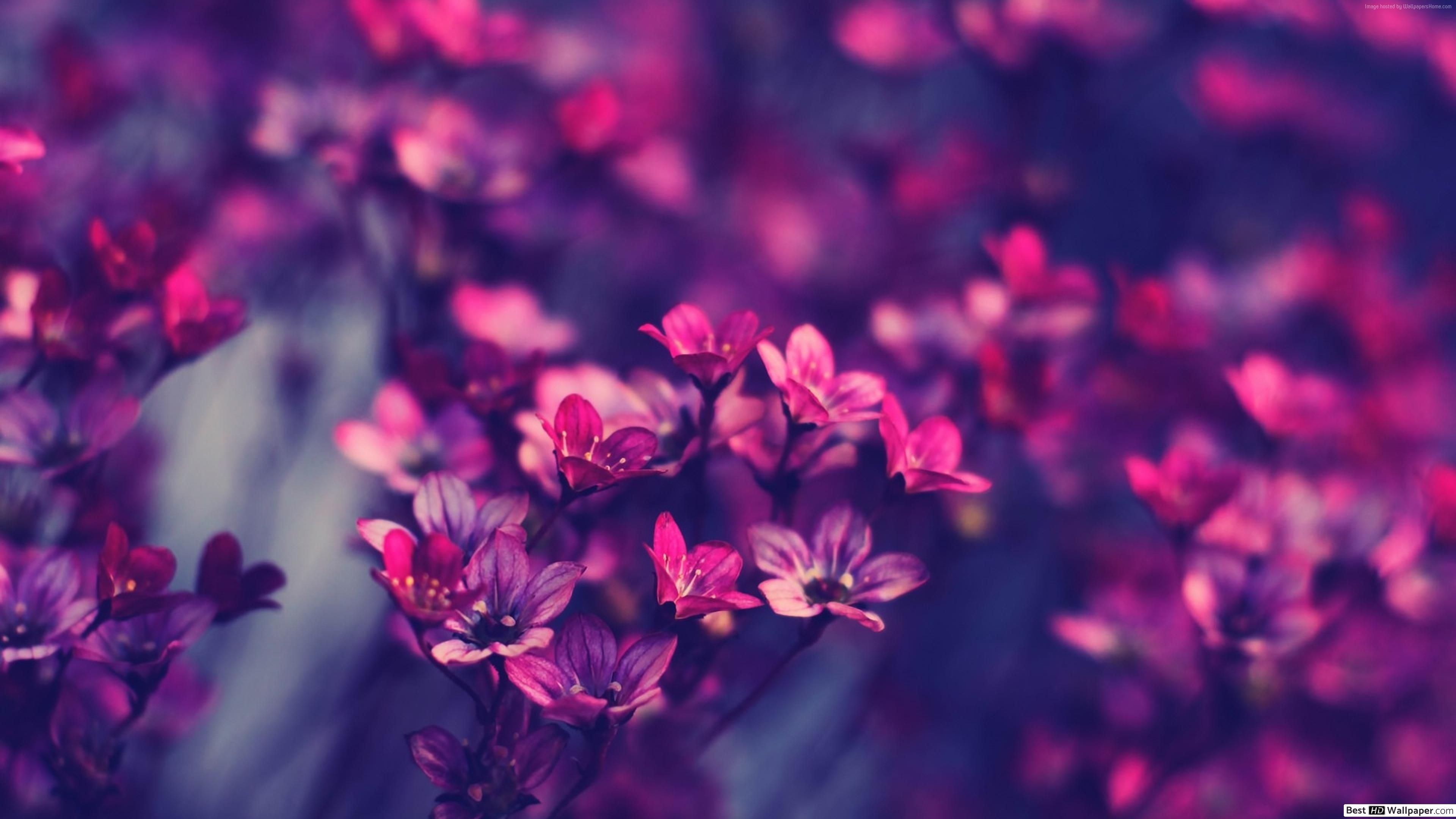 Fondo de pantalla   3840x2160