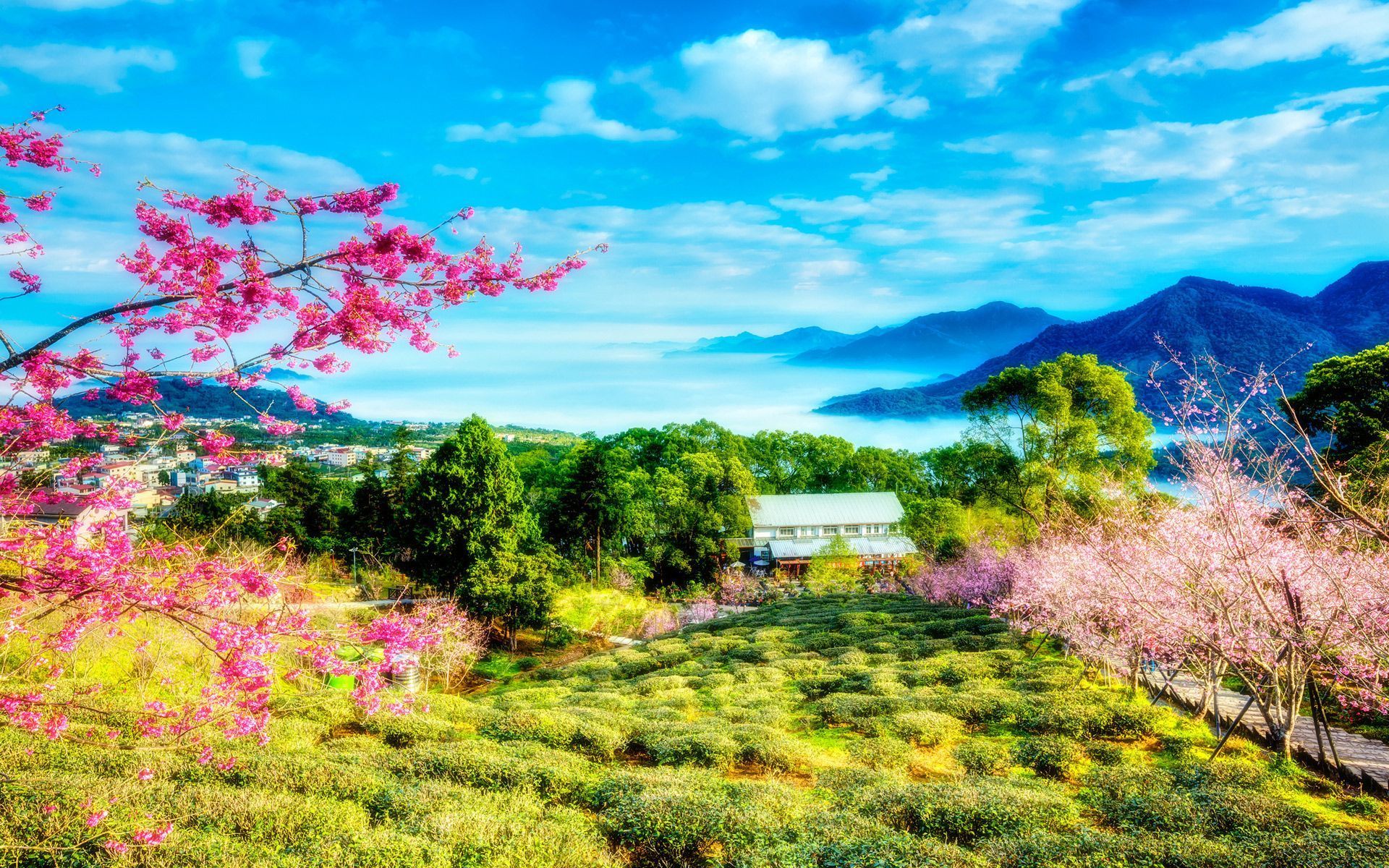 Fondo de pantalla de  1920x1200