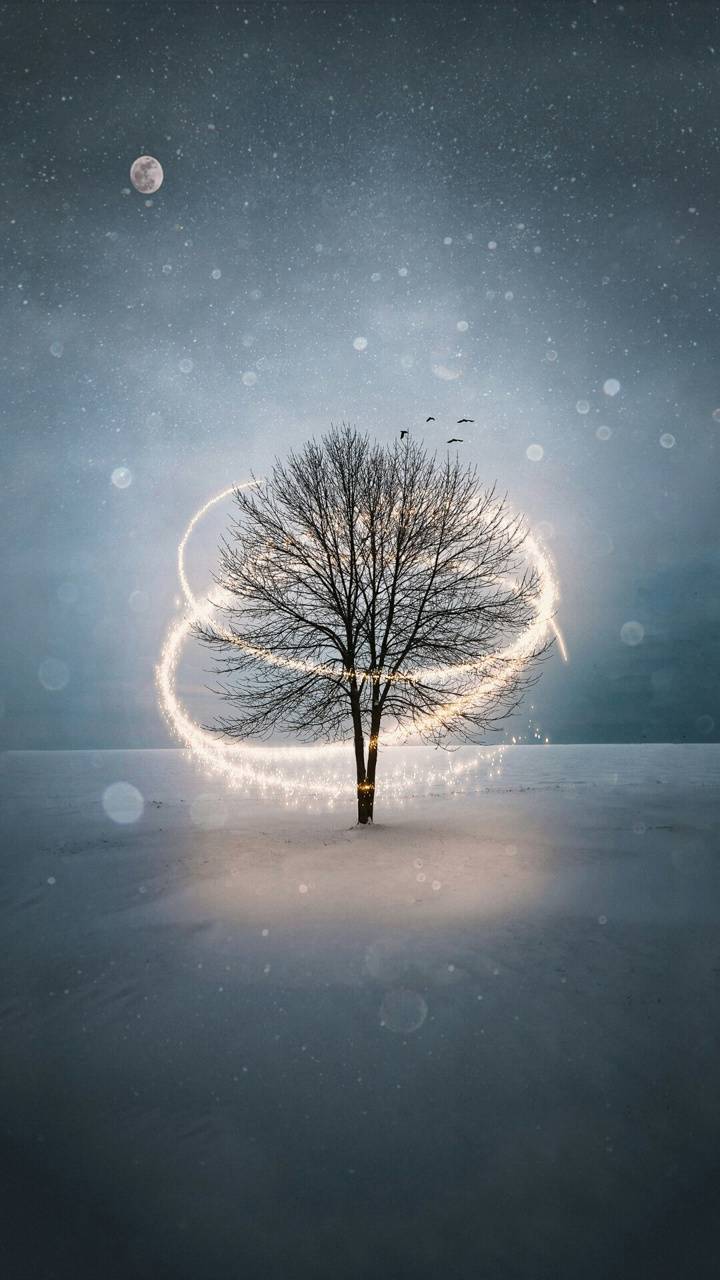 Fondo de pantalla de  720x1280