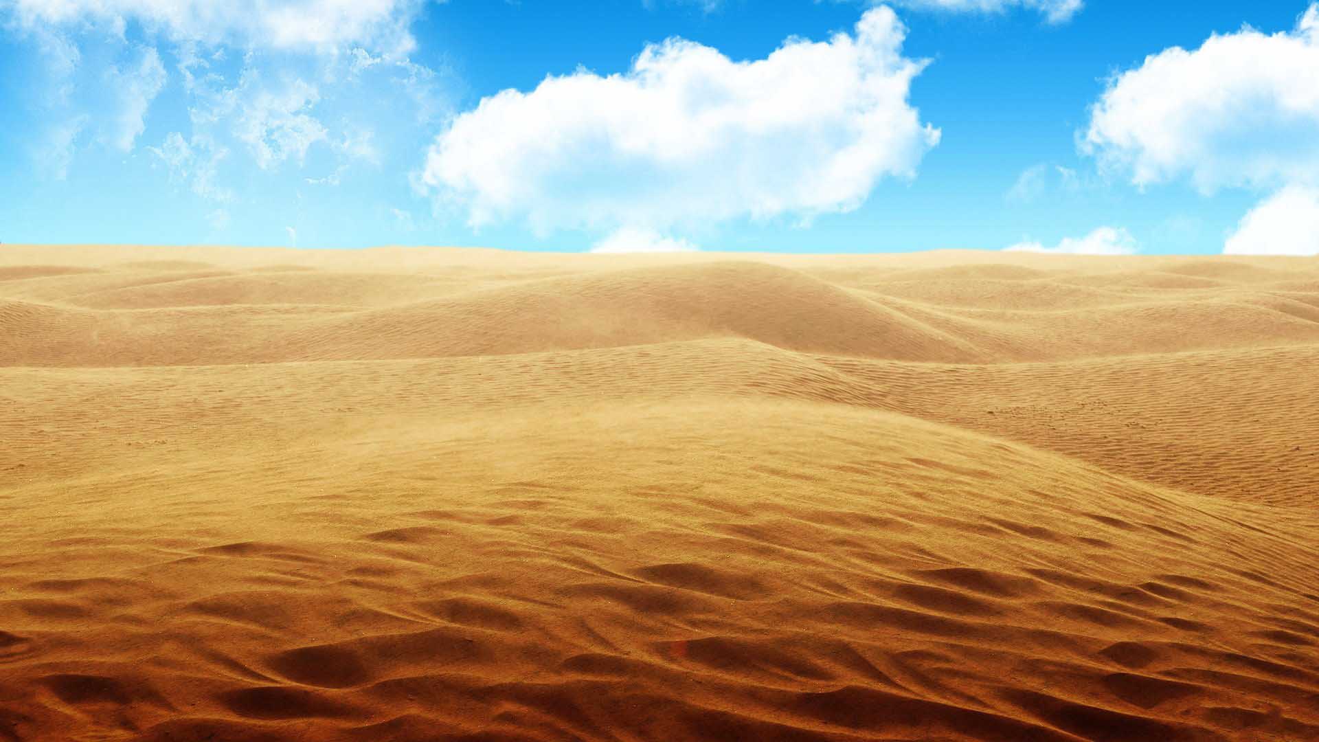 Fondo de pantalla de  1920x1080