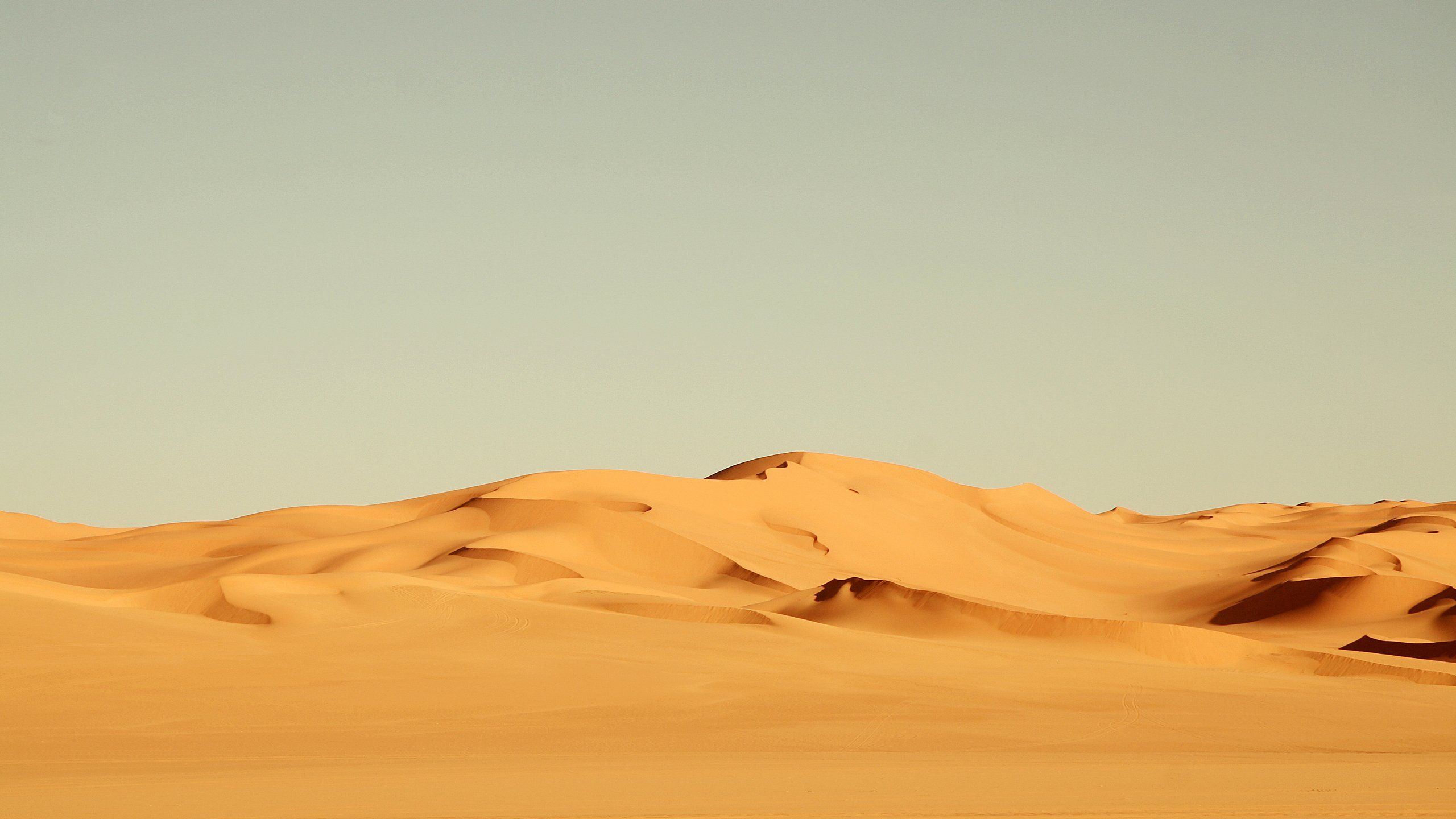 Fondo de pantalla de  2560x1440
